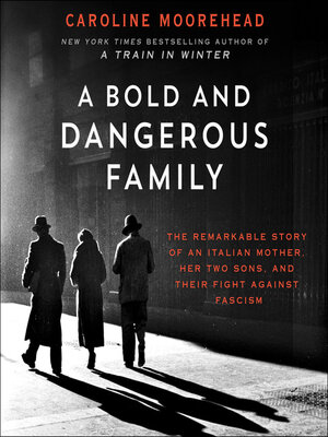 cover image of A Bold and Dangerous Family